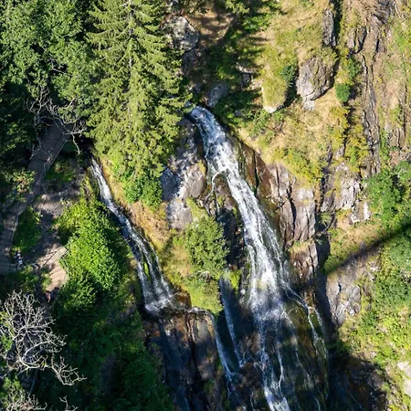 Haus Bergruh Kuckucksnest 아파트 *