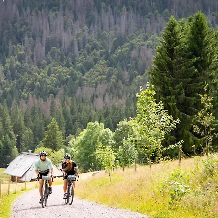 Haus Bergruh Kuckucksnest 아파트 *